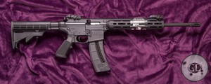 Smith&Wesson M&P 15-22 Sport